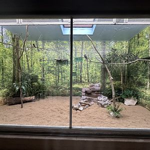 Sep. 2025 - Conservation Center - Typical Bird Display