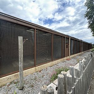 Sep. 2025 - Conservation Center - Outdoor Aviaries