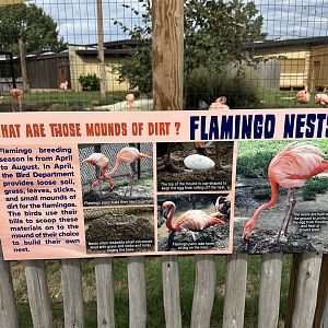 Sep. 2025 - Conservation Center - Flamingo Signage