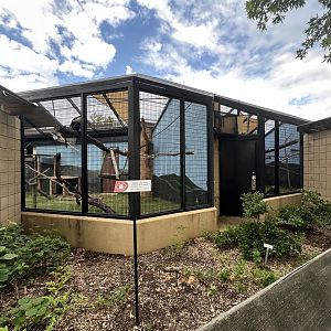 Sep. 2025 - Conservation Center - Outdoor Monkey Enclosures