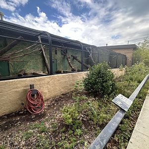 Sep. 2025 - Conservation Center - Outdoor Monkey Enclosures