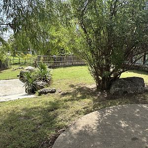 Sep. 2025 - Aldabra Atoll - Giant Tortoise Enclosure