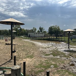 Sep. 2025 - Elephant Preserve - Main Paddock