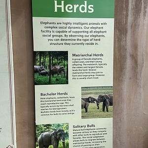 Sep. 2025 - Elephant Preserve - Signage (5)