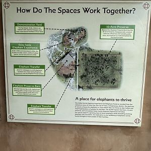 Sep. 2025 - Elephant Preserve - Signage (6)