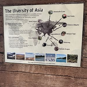 Sep. 2025 - Lost Kingdom - Signage (1)