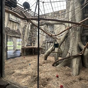 Sep. 2025 - Lost Kingdom - Siamang Day Room