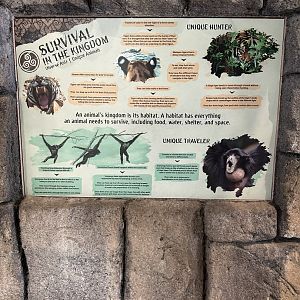 Sep. 2025 - Lost Kingdom - Signage (2)