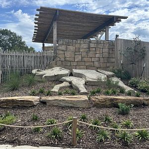 Sep. 2025 - Elephant Experience - Viewing Area from the Ground