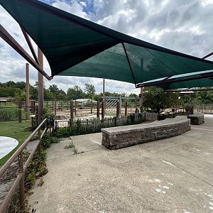 Sep. 2025 - Elephant Experience - Amphitheater Overview