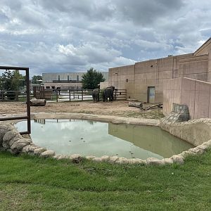 Sep. 2025 - Elephant Experience - Pool Overview