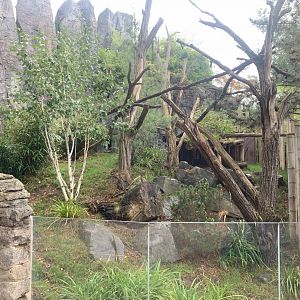 Smaller Red Panda enclosure - Himalayas