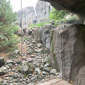 2nd Snow Leopard enclosure - Himalayas