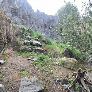 1st Snow Leopard enclosure - Himalayas