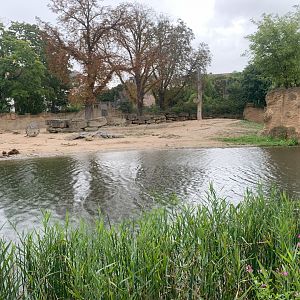 Asian Elephant enclosure - Asia