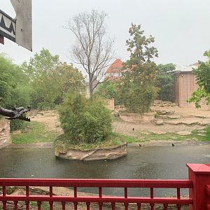 Main Asian Elephant enclosure - Asia