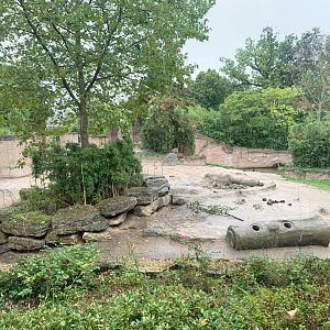 Main Asian Elephant enclosure - Asia