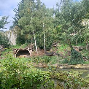 Main Siberian Tiger enclosure - Taiga