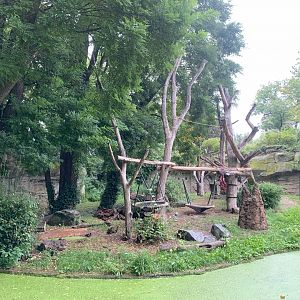 2nd Sloth Bear enclosure - Asia