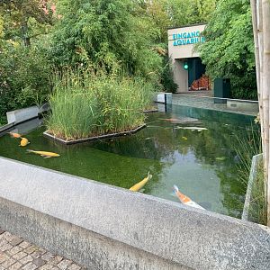 Entrance aquarium - Aquarium