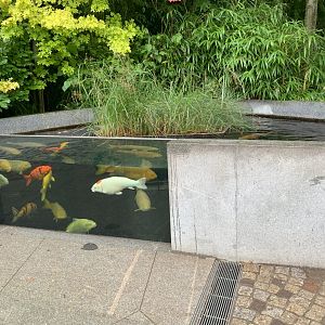 Entrance aquarium - Aquarium
