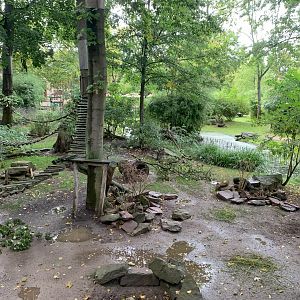 Chacoan Peccary enclosure - Pantanal