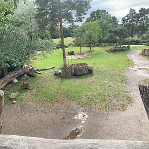 2nd Eastern Black Rhinoceros enclosure - Africa