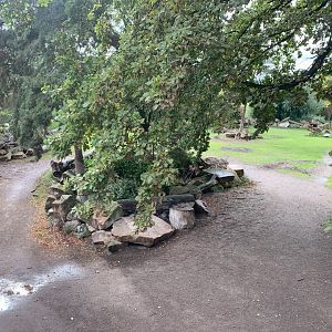 3rd Eastern Black Rhinoceros enclosure - Africa
