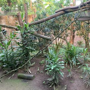 Hamlyn's Monkey and Kirk's Dik-dik enclosure - Gondwanaland