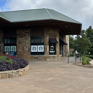 Sep. 2025 - Safari Cafe (coffee shop)