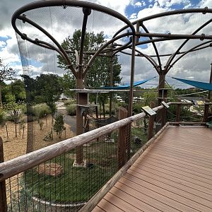 Sep. 2025 - Lemur Mixed Exhibit