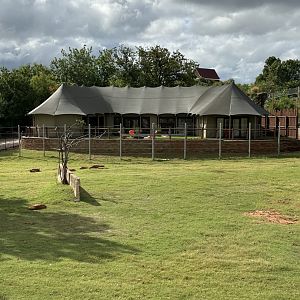 Sep. 2025 - Expedition Africa - The Lodge