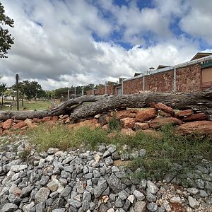 Sep. 2025 - Expedition Africa - A Unique Savanna Barrier