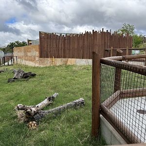 Sep. 2025 - Expedition Africa - Ploughshare Tortoise Enclosure