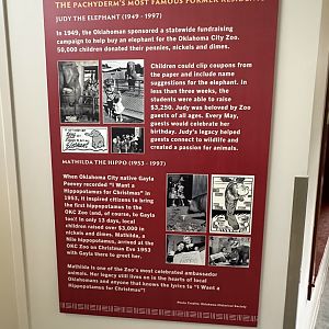 Sep. 2025 - Expedition Africa - Pachyderm House Signage