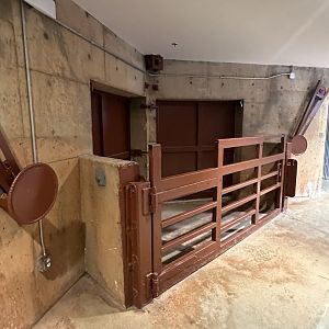 Sep. 2025 - Expedition Africa - Former Pachyderm Gate