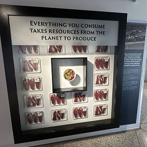 Sep. 2025 - Expedition Africa - Educational Display