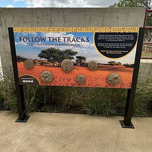 Sep. 2025 - Expedition Africa - Graphics