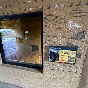 Sep. 2025 - Expedition Africa - Honey Badger Viewing Window (indoor)