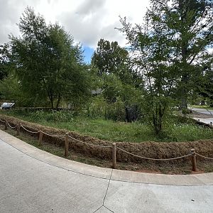 Sep. 2025 - Wetlands Walkway - Turtle Enclosure