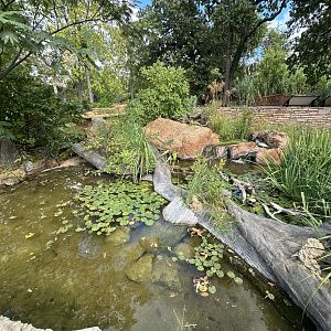 Sep. 2025 - Wetlands Walkway - Turtle Enclosure