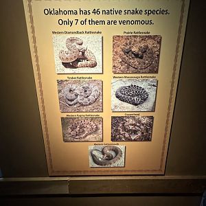 Sep. 2025 - Herpetarium - Venomous Snake Signage