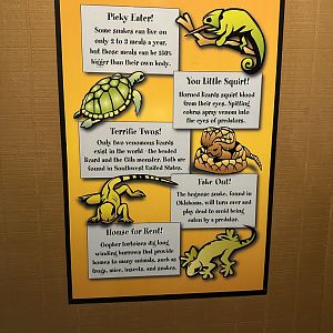 Sep. 2025 - Herpetarium - Signage