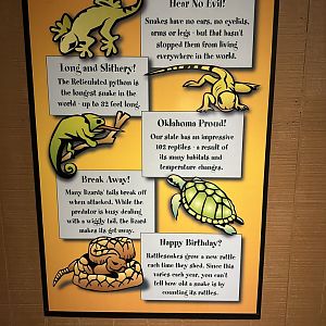 Sep. 2025 - Herpetarium - Signage