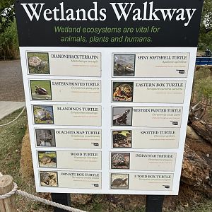 Sep. 2025 - Wetlands Walkway - Chelonian Signage