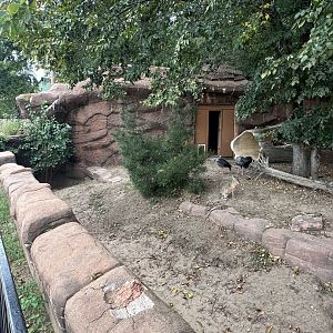 Sep. 2025 - “Old Grottoes” - Mixed Exhibit