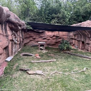 Sep. 2025 - “Old Grottoes” - Tanuki Enclosure