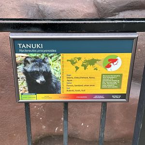 Sep. 2025 - “Old Grottoes” - Tanuki Signage