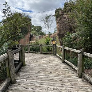 Sep. 2025 - Lion Overlook - Walkway to the Lions