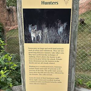 Sep. 2025 - Lion Overlook - Signage